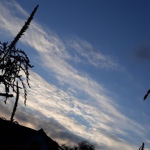 Meet your Posher, Jesica